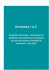 Couverture rapport enquete ARUP FRUP annexes